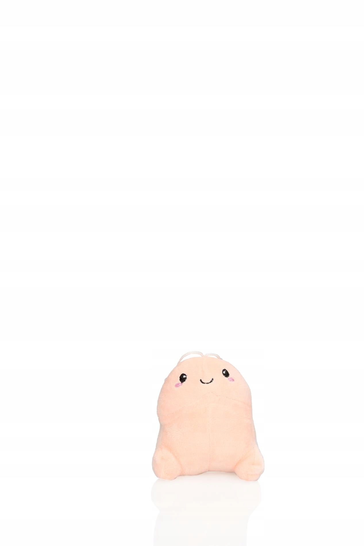 18385898996